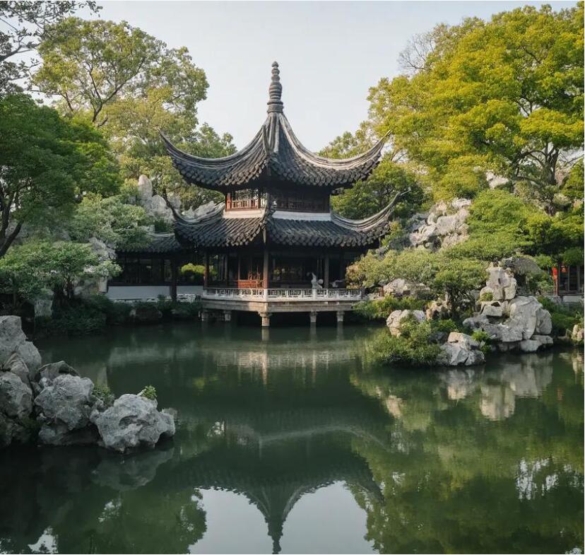 茂港区飞风餐饮有限公司